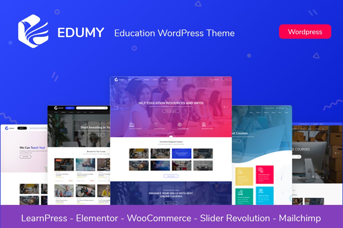 Edumy - LMS Online Education WordPress Theme