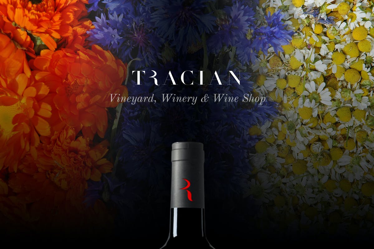 Tracian - Wine WordPress Theme Download