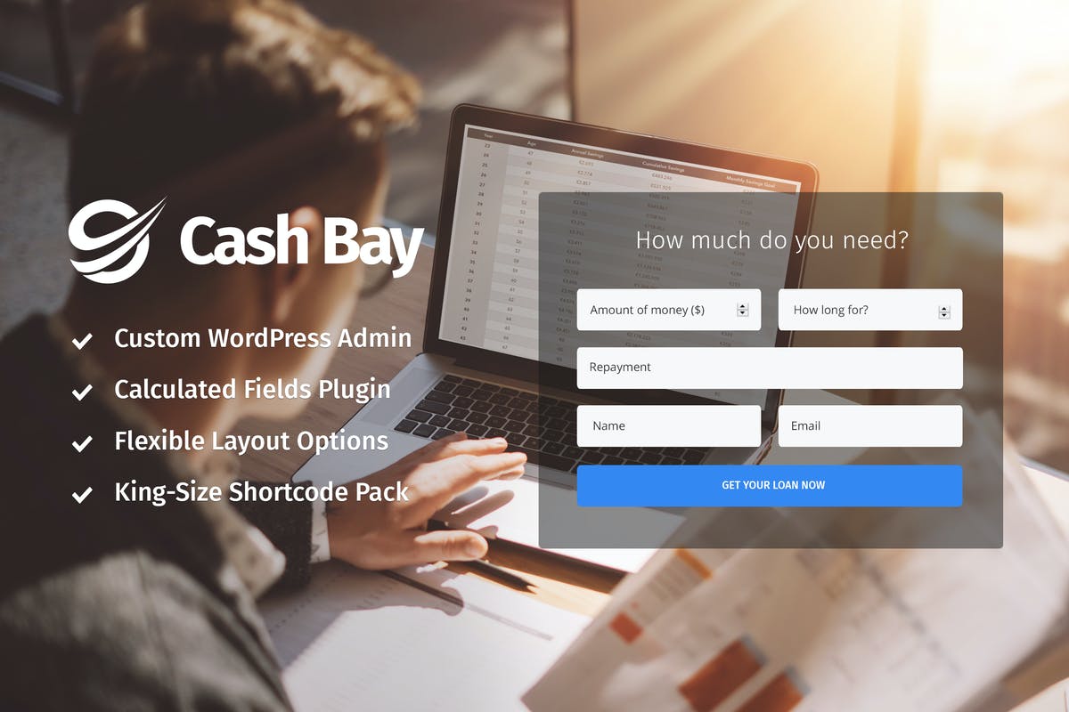 Cash Bay - Loan & Credit Money WP Theme For Free Download