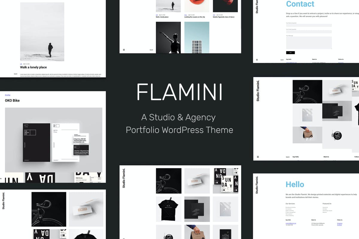 Flamini - Studio/Agency Portfolio WordPress Theme