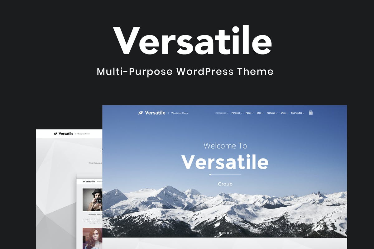 Versatile - Multi-purpose WordPress Theme