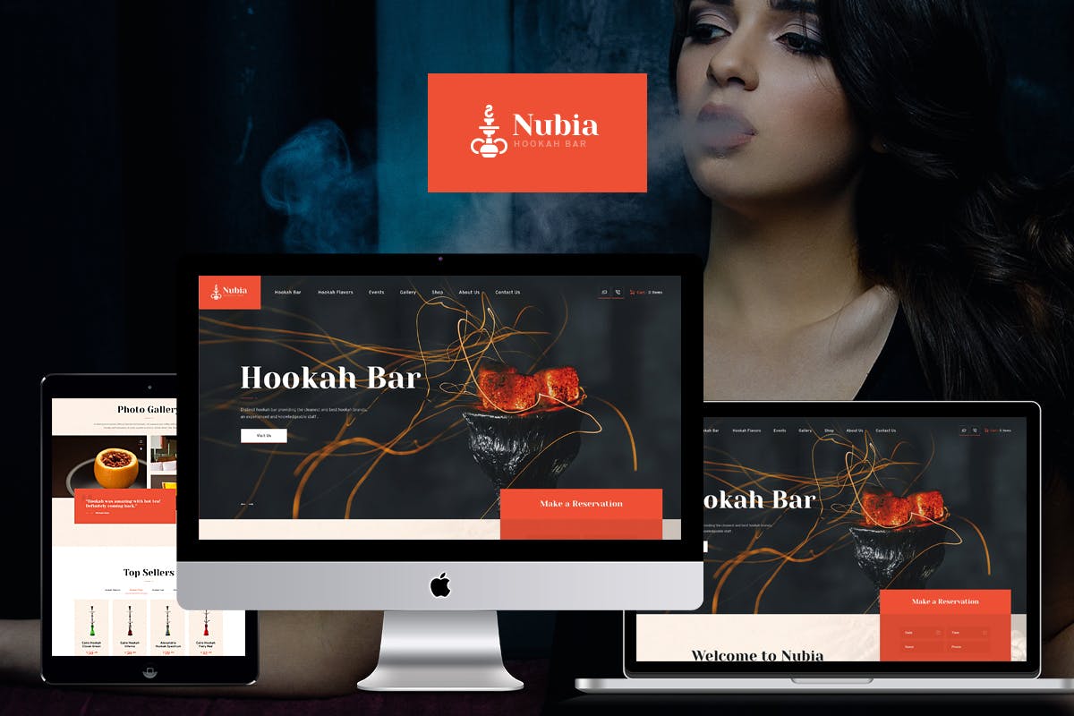 Anubia Salient WordPress Theme Free Download