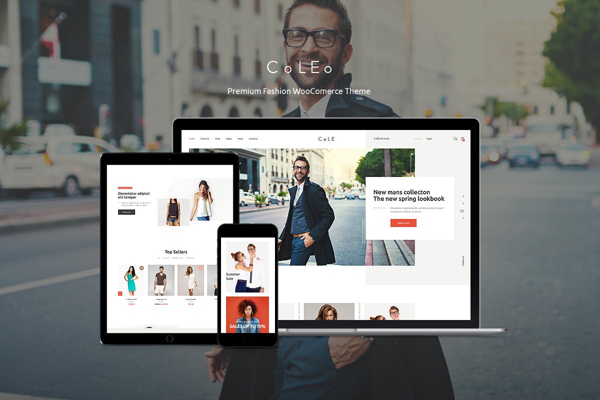 Coleo - free wordpress theme download