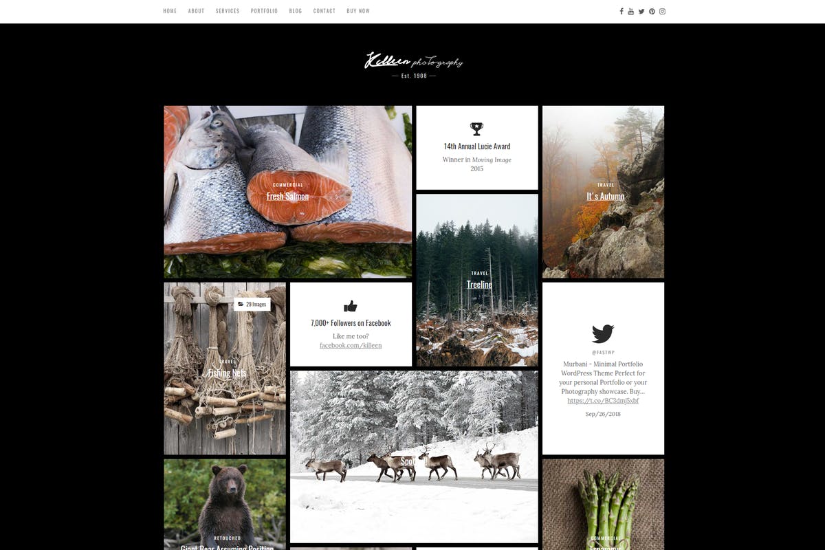 Killeen – Contemporary Portfolio WordPress Theme