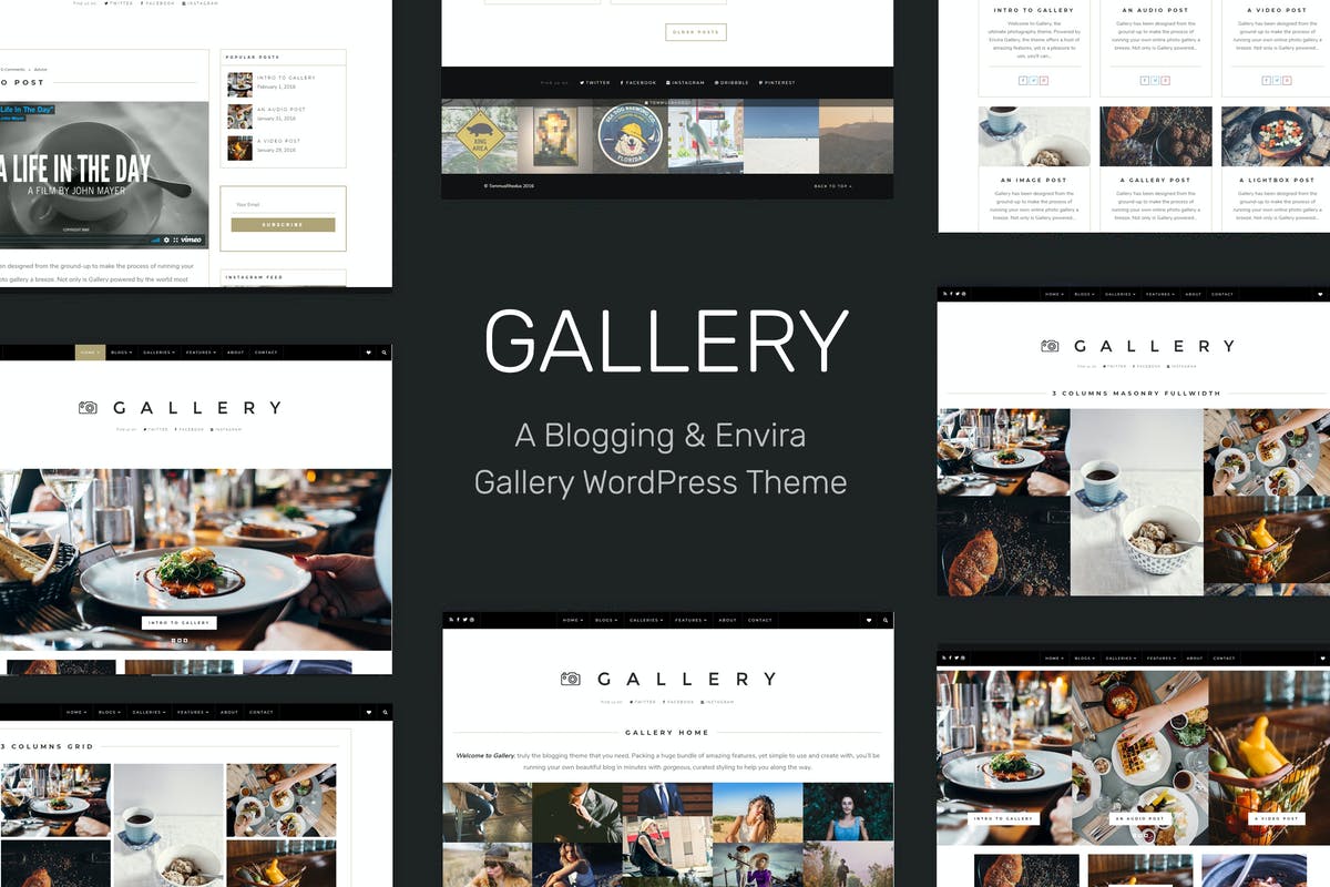 Gallery - Blogging&Envira Gallery WordPress Theme