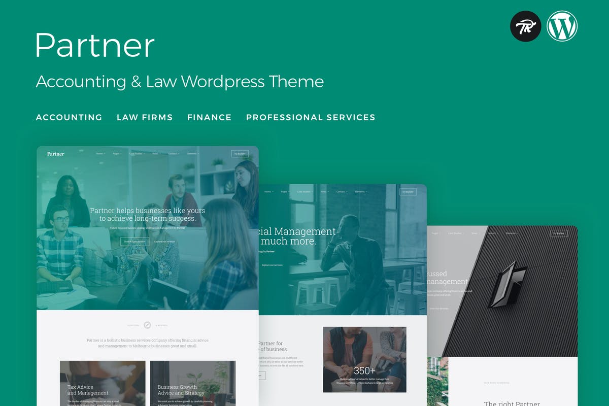 Partner - Accounting and Law WordPress Themes