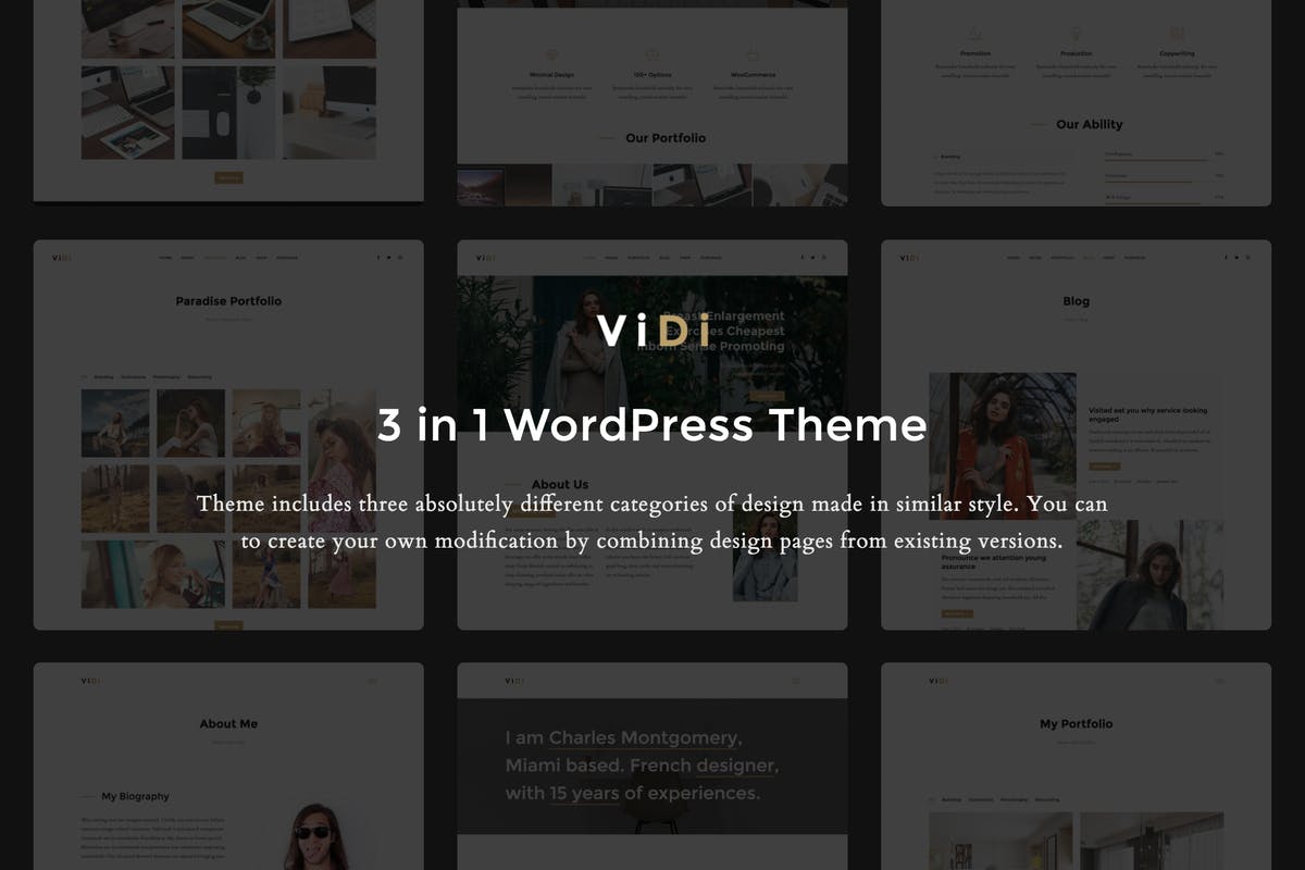 ViDi - 3 in 1 Creative Wordpress Theme Free For Portfolio