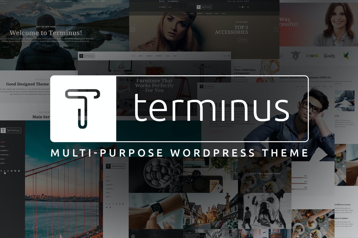 Terminus - Multi-Purpose WordPress Theme