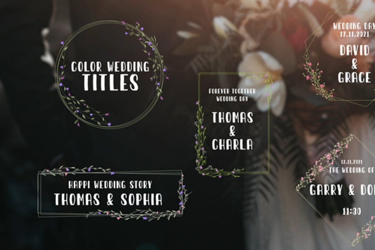 Color Wedding Titles For Premiere Pro