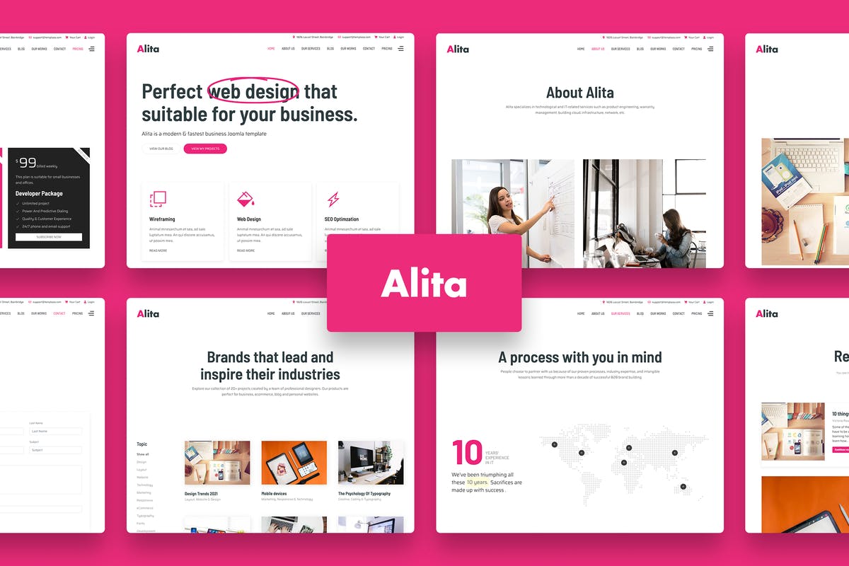 Alita - Web Studio WordPress Theme