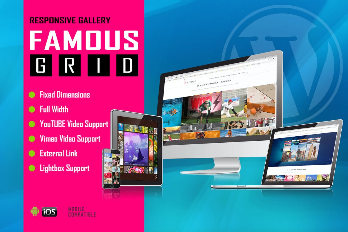 Famous - Responsive Image And Video Grid Gallery