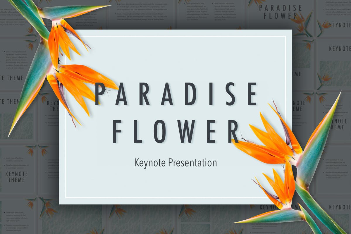 Paradise Flower Keynote Template